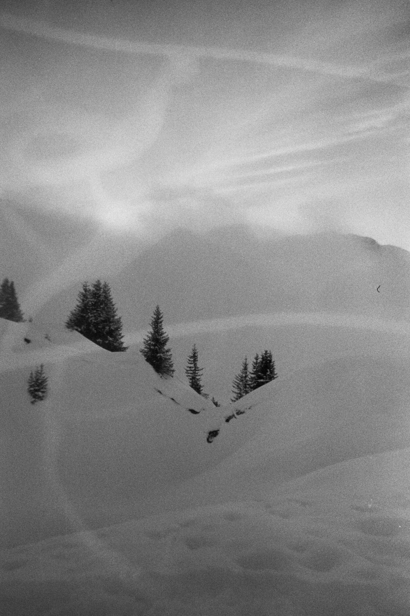 Photo12_12